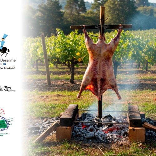 visita-a-bodegas-gordonzello-y-corderada